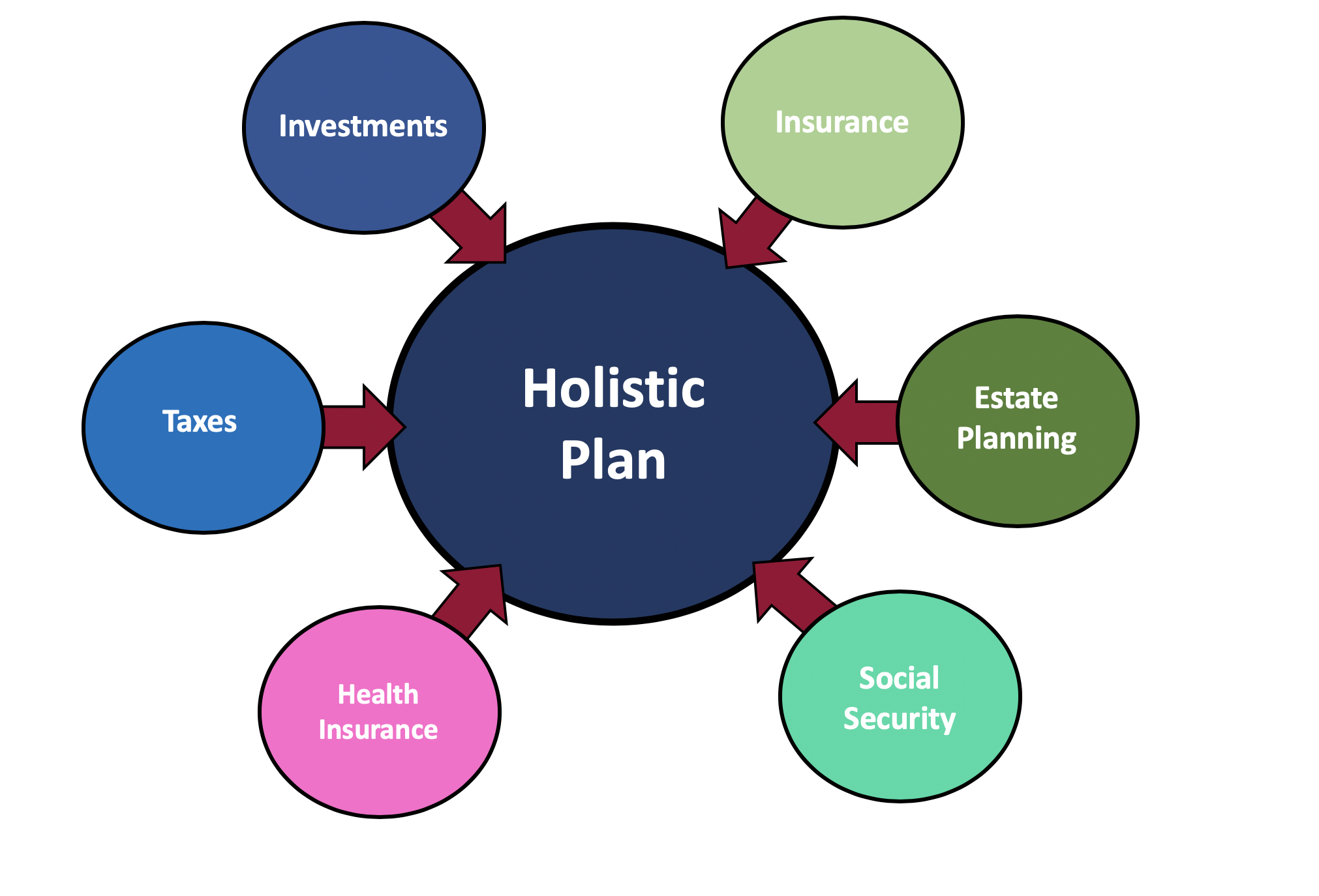 Our Holistic Plan